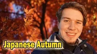 Die schönsten Farben der Welt! [Japan Lifeblog]
