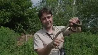 Watermannen (aflevering 1): Slangen aan het water