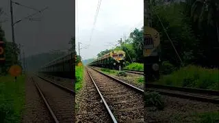1609 Ernakulam-Kayamkulam MEMU (Mainline Electric Multiple Unit #trending #passengert