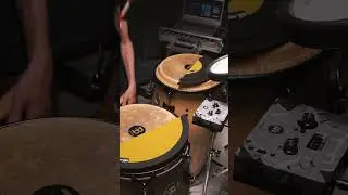 Meinl Perc Sample Box