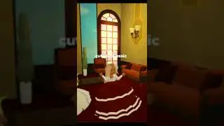 take my 🤑... #trend #fun #like #cute #roblox #sub #jessicas fun #viral #funny #love #🤑