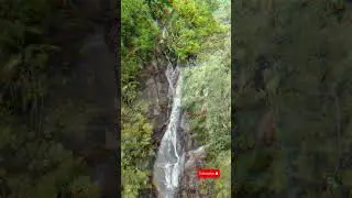 Hidden Waterfall in Seychelles 🇸🇨 Port Launay Mah&eacute; 🌿 nsta360 X4 & DJI Drone #insta360x4 #djiflip