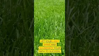 Unleash your brilliance #unleashingpower #motivation #growth #transformation #inspiration