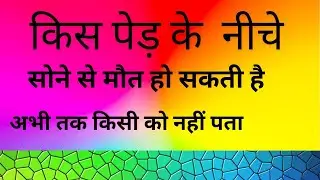 किस पेड़ के नीचे सोने से आदमी मर सकता है || Topibala channel || Question answers objectives ||