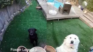 Foxeer Legend 2 Vs Runcam 2 - Side By Side comparison