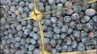 amazing fruits удивительные фрукты от Fresh Fruit shots Иран Азербайджан Сирия Фуд Сити&nbsp;#Shorts#шорт