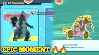 TOTEM 3 GROUDON, AWAKEN 6 BAX, ALL 31 IV BAX DAN TUKER GALARIAN ARTICUNO 🔥🔥| ELF EXPLORE