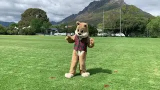 Laerskool Stellenbosch Jerusalema dans