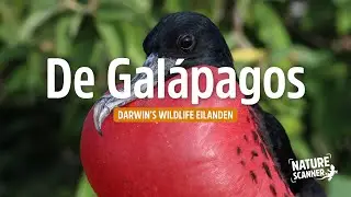 Gal&aacute;pagos eilanden | In de voetsporen van Charles Darwin