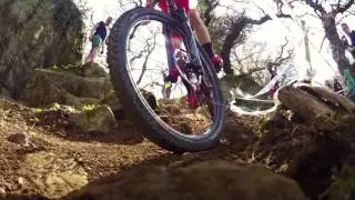 British National XC Series 2016: Round 2 - Newnham Park (Elite Races)
