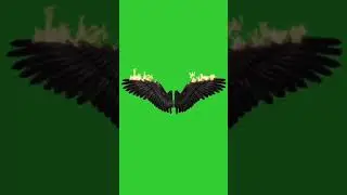 Angel black wings 🖤  green screen video nocopyright 🔥 #greenscreen #shorts #angelblackwings #free