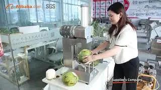 Food Processing Solutions: Machines for Fruits, Vegetables & Meat | Shengtian Machinery