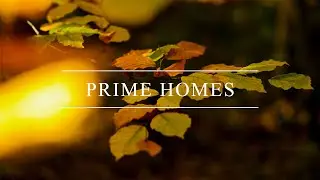 Welcome To Prime Homes by Minors & Brady