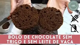 Bolo de Chocolate SEM TRIGO e SEM LEITE de Vaca