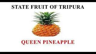 TRIPURA STATE SYMBOLS || STATE SYMBOLS OF TRIPURA ||
