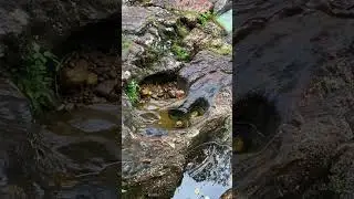 Is it Old Treasure Hole? Strange Underground Discovery!