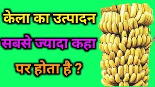 केला का उत्पादन सबसे ज्यादा कहा होता हैं ? | India's largest Banana Producing States