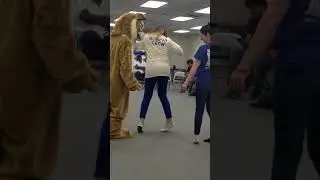 Cltcc bobcat 1