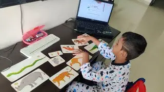 Day 20 - Numbers Learning Activity - Flinto Class Activity