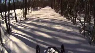 Breaking trail in 2.5' of powder with the Ski-Doo Freeride