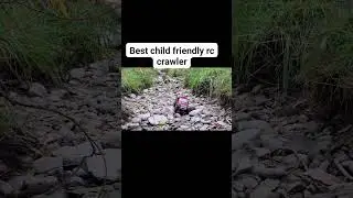 What is the best gift for kids that wants a rc truck? #mn82s #crawler #rccars #budget #playtime