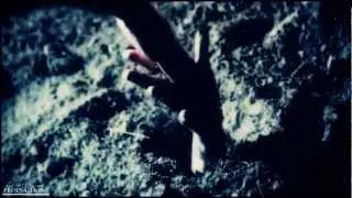►PLL (3x24) | 