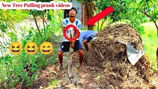 New Tree pulling prank videos | tree pulling funny | funny video..