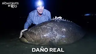 Sangre En El R&iacute;o: Las Mordeduras Que Nadie Olvida | Monstruos de R&iacute;o