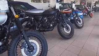 MUTT RAZORBACK