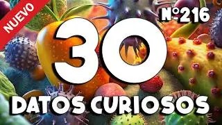 30 DATOS CURIOSOS y COSAS QUE NO SABÍAS ⏰😲 705 #curiomaníatv