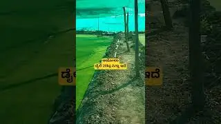 &ldquo;Azolla Farming Kannada | One Pond = Daily Free Feed&rdquo;