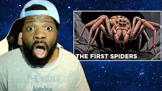 SPIDERS RULE THE WORLD!!!|The Insane Evolution of Spiders REACTION