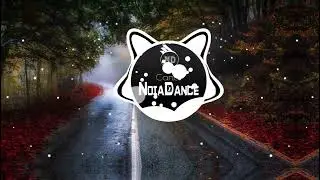 Shouse Love Tonight Vintage Culture,Kiko Franco ( DJ NM Remix )