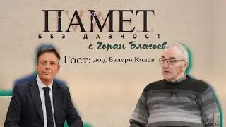 Кой отне от българите Ниш и Пирот през 1878 г.?