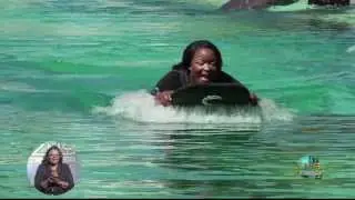 Dolphin Cay Is Fun For All Ages