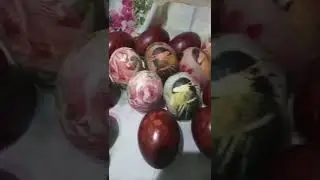 moji pirhi