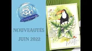 Nouveaut&eacute;s Juin 2023 - Denim Tampons