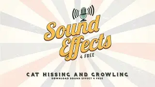 Cat Hissing and Growling - Sound Effects