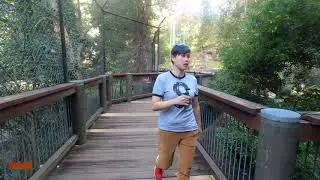 BLACKBUTT RESERVE NEWCASTLE AUSTRALIA | wildlife reserve australia