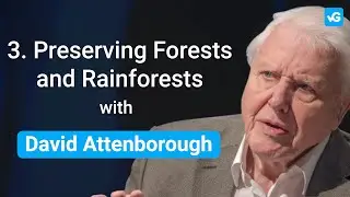 Saving Rainforests with David Attenborough