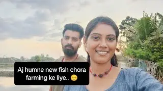 Aj humne new fish chora🐟||dekho kitne chote fishes 😍