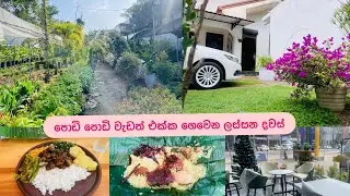 පොඩි පොඩි වැඩ එක්ක ගෙවෙන ලස්සන දවස්❤️