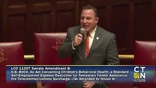 CT Dems shield CRIMINAL illegals in mishmash bill & Sen. Sampson counters. HB 8004 AMD B (11/15/25)