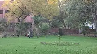 Gurugram SCERT,Haryana