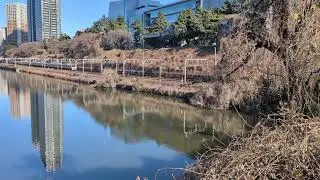 中央快速E233系　飯田橋〜市ヶ谷