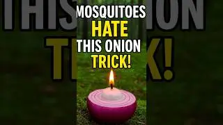 👉Mosquitoes Hate This Onion Trick🦟 #camping #survival #outdoors #bushcraft #lifehack