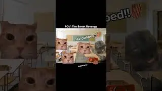 CAT MEMES: The Sweet Revenge❌, The Smelliest Revenge 💖