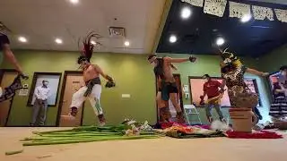 🕊  #indigenous #aztecas #cultura #mexico #culture #danza 