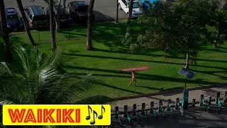 Hawaii S11E2 - The Waikiki Symphony