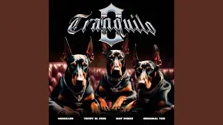0 TRANQUILO